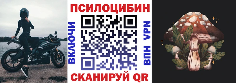 мориарти какой сайт  Задонск  Галлюциногенные грибы мицелий 